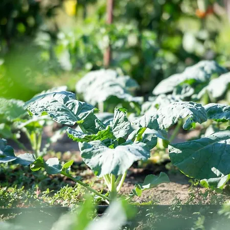 特斯雷利公寓 锡基亚