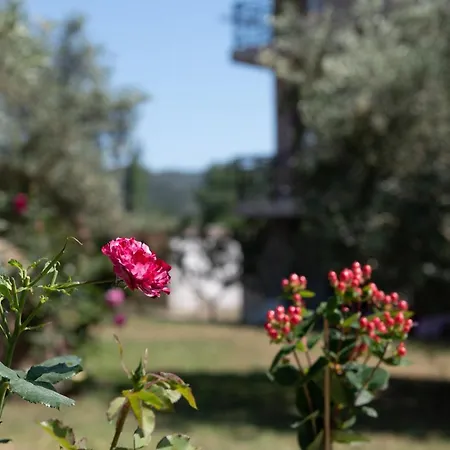 公寓 特斯雷利公寓 *