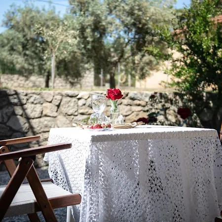 特斯雷利公寓 *