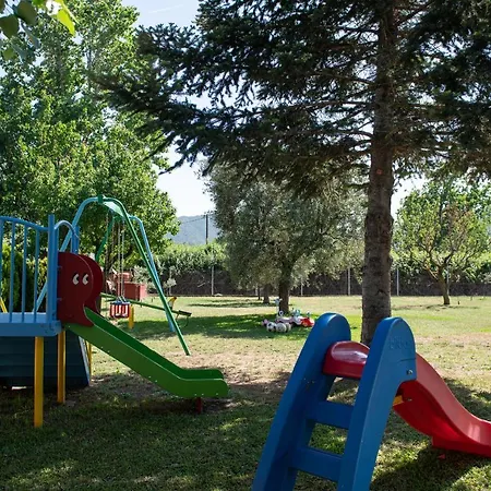 Tsitreli * Sykia Chalkidikis