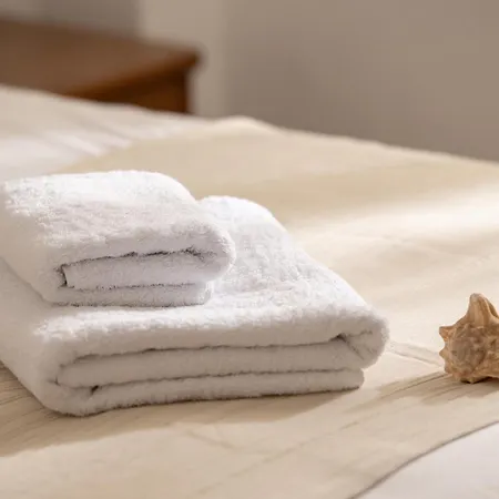 特斯雷利公寓 公寓 *