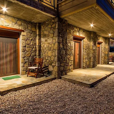 Tsitreli Apartment Sykia