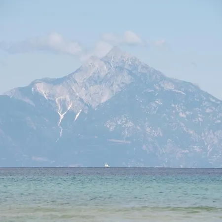 Daire Tsitreli Sykia