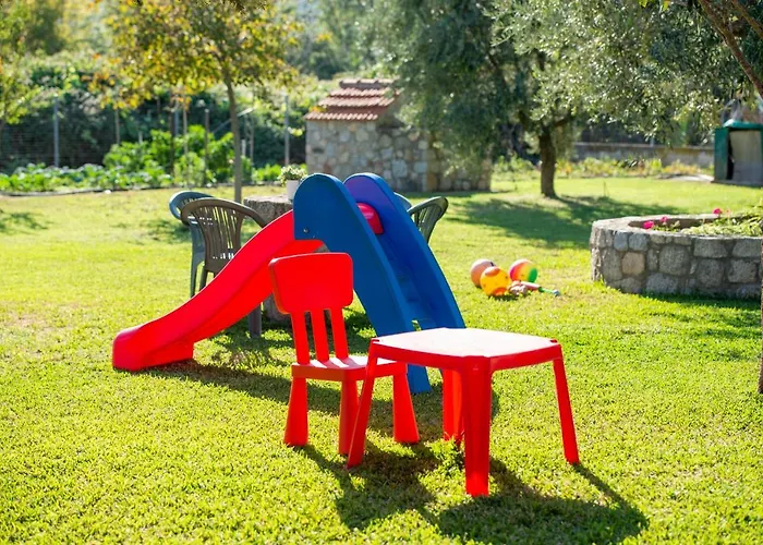 Tsitreli * Sykia