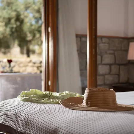 Apartman Tsitreli Szikiá